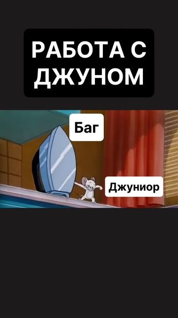 Когда появился джун в команде