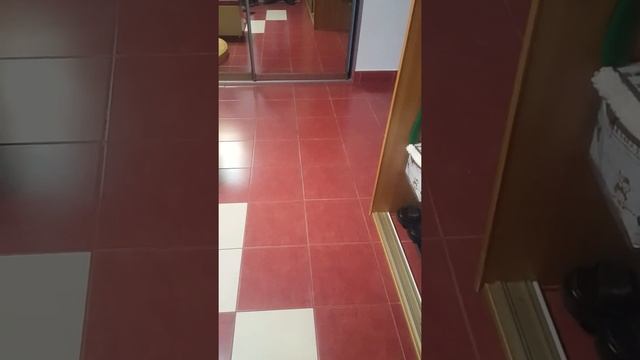 бизнес по-одесски   (купите у мини тапки)