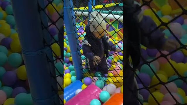 VID-20250419-WA0029