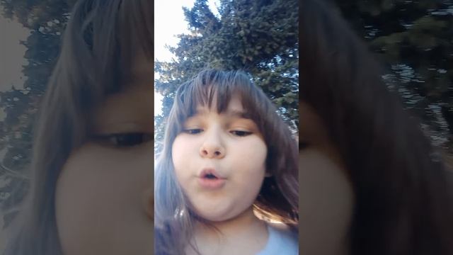 VID20250517181051.mp4