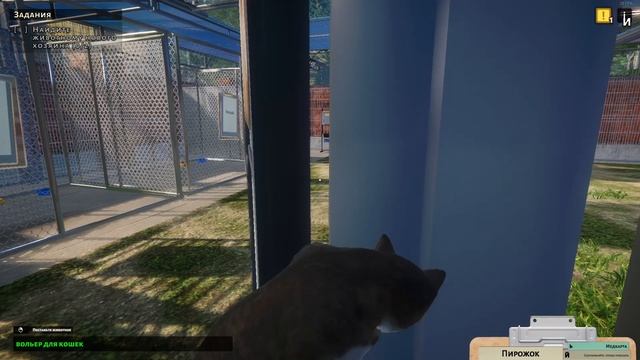Animal Shelter | Вольер мечты для двух пушистых постояльцев | SailorGame