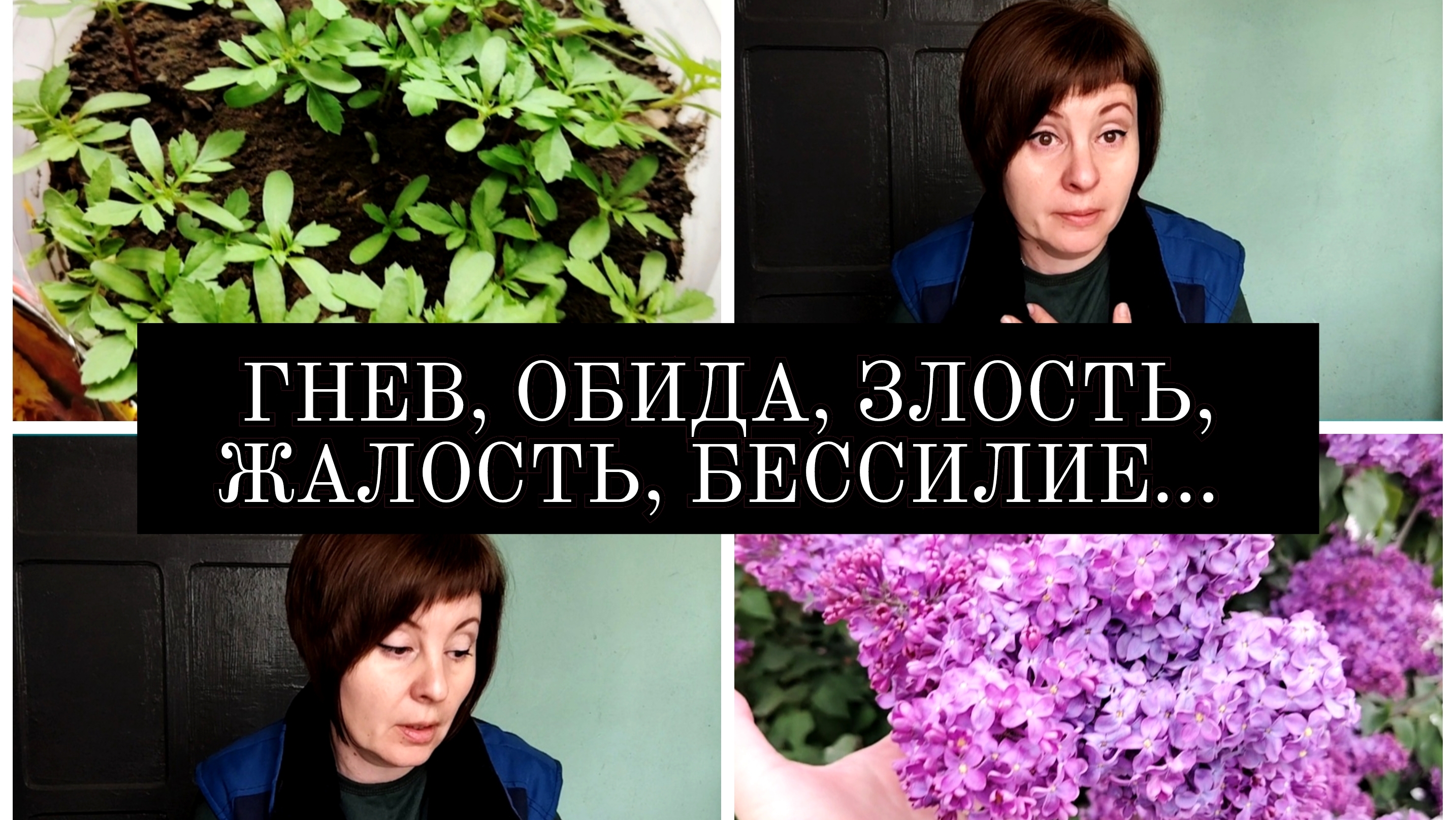 17-05-2025 СНОВА МАМА😢МОИ ЦВЕТЫ НА РАБОТЕ🌷🪴🪻🥀ПЕРЕСАДИЛА ПОМИДОРЫ🍅