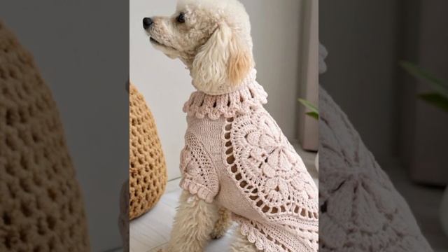 🐕  Вязаная одежда для животных  🐈