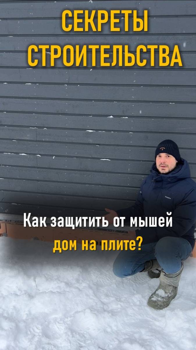 Секреты строительства: защищаем дом от мышей.