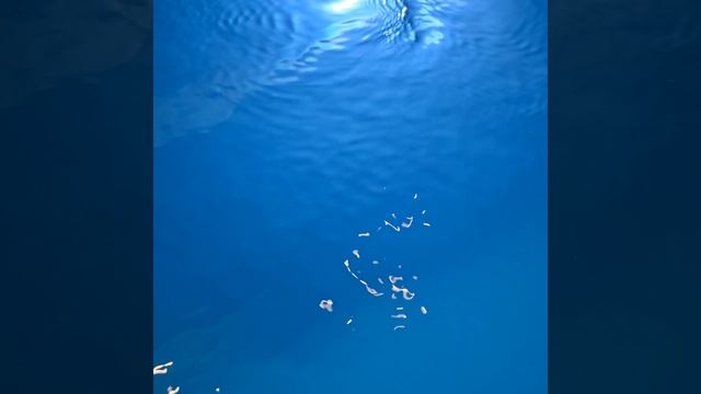 #Релакс - сегодня банька у девчат🤗