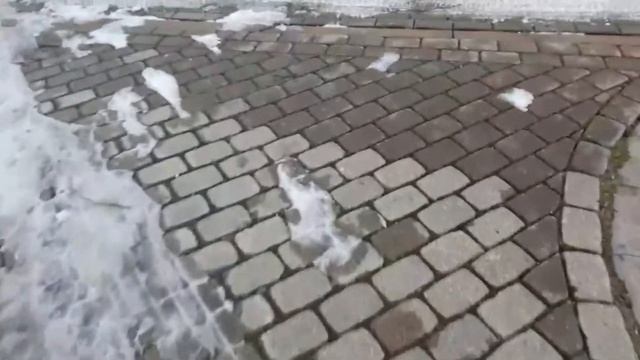 🔴Срочные новости от канала Шарф😪