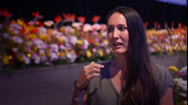 История трансформации по медитациям Джо Диспенза