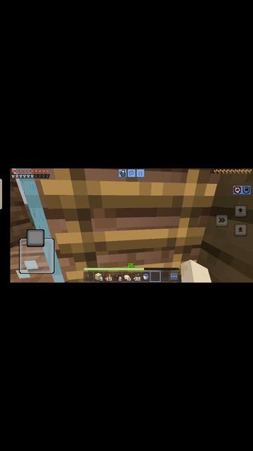 1000000099.mp4