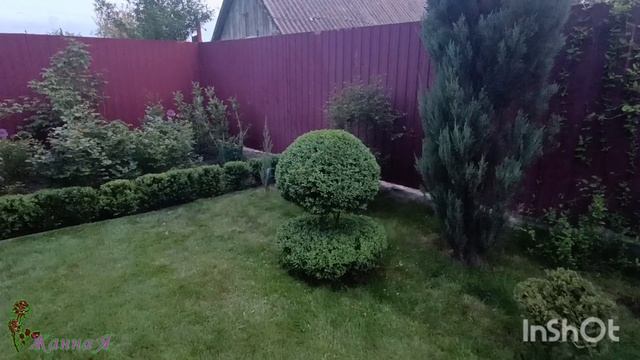 Стрижём- бреем высший сорт! Помощники в саду.