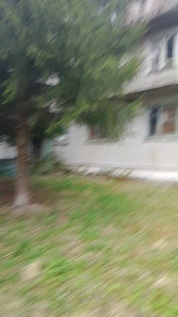 1000019351.mp4