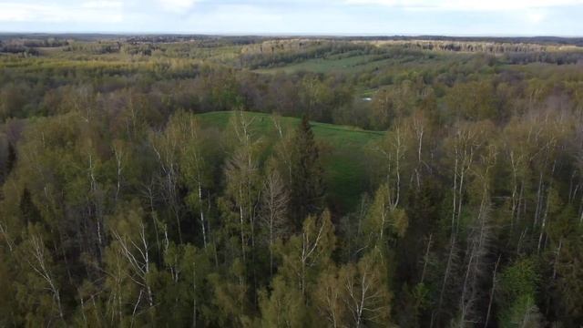 Тархов холм