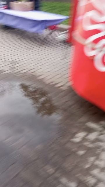 scene_output.mp4