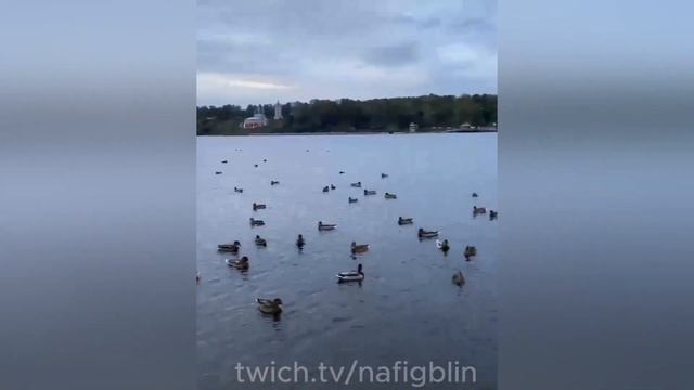 57  ЛУЧШИЕ ПРИКОЛЫ 2024   ПРИКОЛЫ ДЛЯ ВЗРОСЛЫХ    ПРИКОЛЫ ЗА ОКТЯБРЬ   ТИК ТОК #4