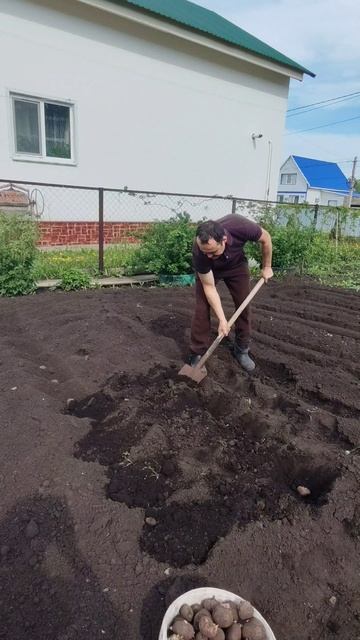 Будь первым! Засади раньше соседа!