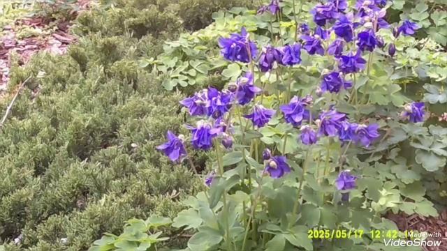 Мариуполь ⛵ автостоянки на тротуарах.