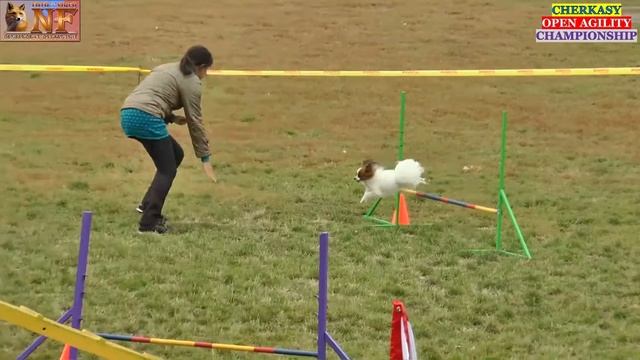 28.09.14 // ДЕБЮТ - Шаповалова Ирина BEYLIS FIRE FOX