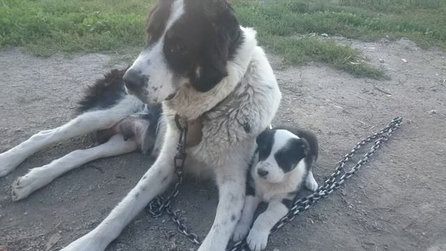 Певице месяц от роду.