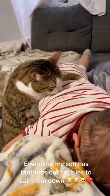 Cat Plays with Kids! 🐱👶🎉
