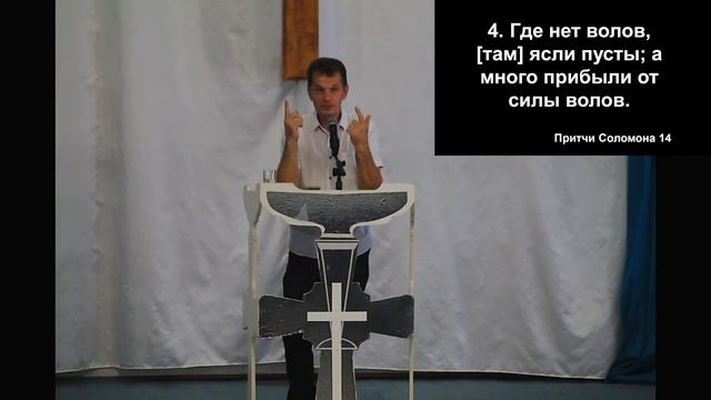 Прямая трансляция 7.07.24