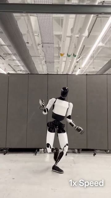 VID_20250517_225745_470.mp4