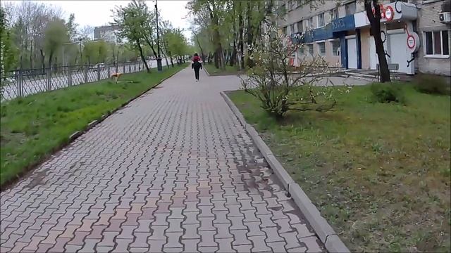 Мой беговой маршрут Хабаровск 11 км