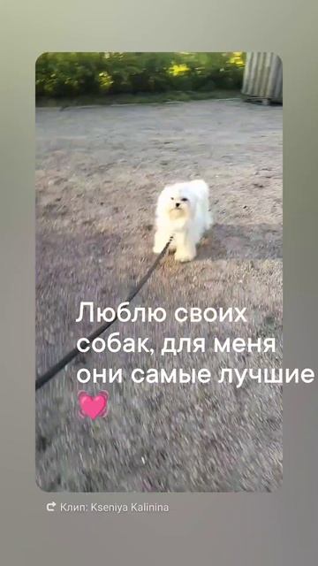 1000266133.mp4