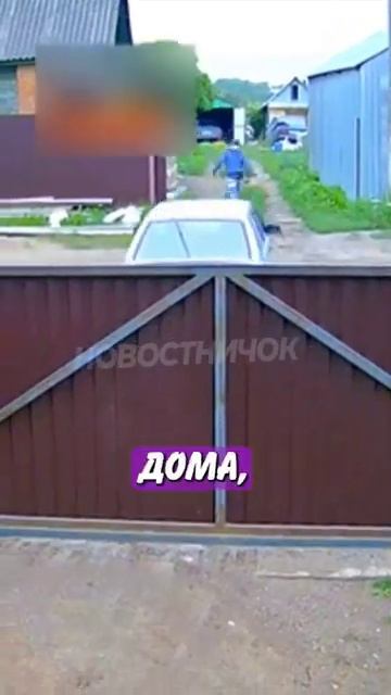 Новостничок (156)