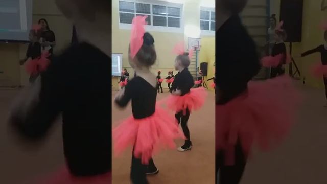 Гимнастика выступление