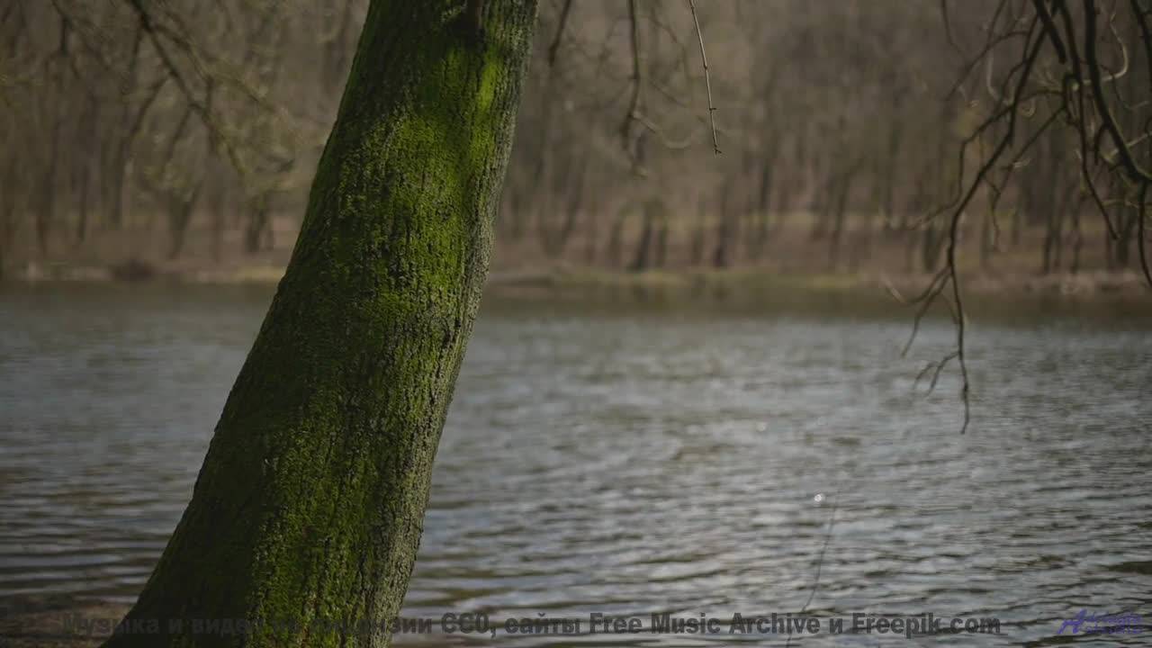 Музыка раскрывает сердце на фоне этих видов - Winds of The West -- Ayla Nereo -- Beheld