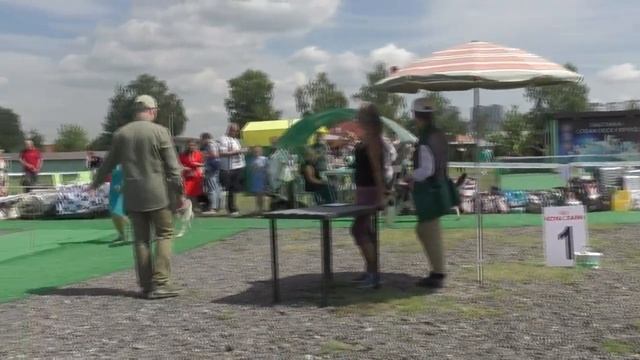 Расстановка