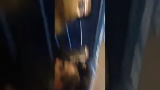 Після концерту Лорак  26 11 14 г.