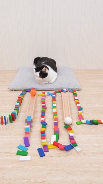 Наблюдаем за коллапсом