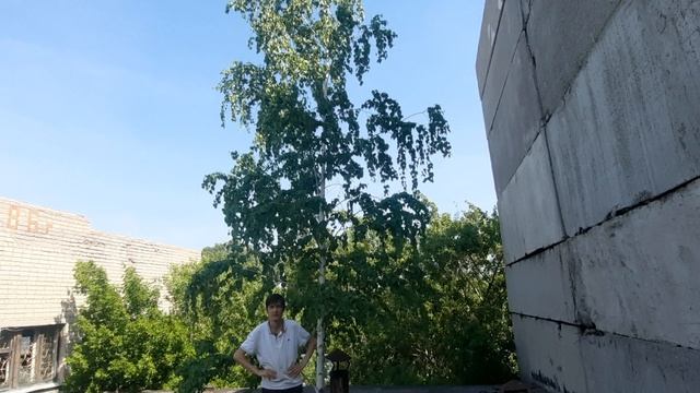 Мой друг на крыше заброшки.😊