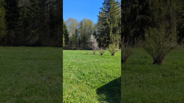 казанка у реки
