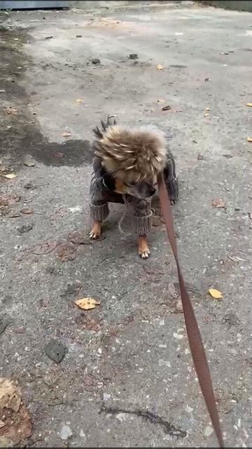1000014810.mp4