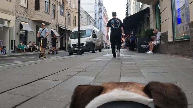 Walk through Mike's eyes / Прогулка глазами Майка