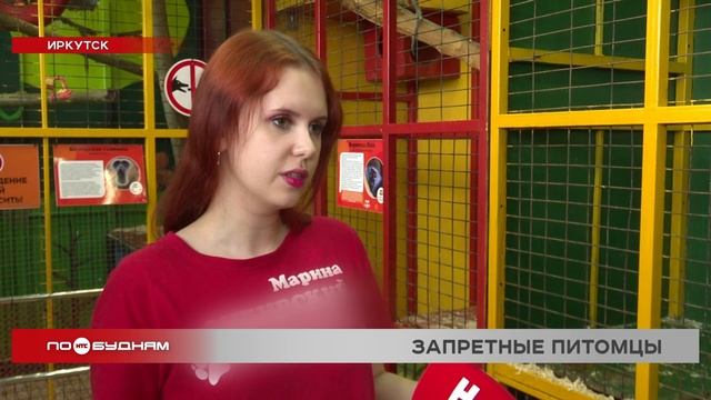 Жители Иркутской области не смогут заводить экзотических питомцев