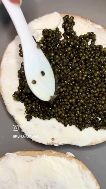 буратта с черной икрой