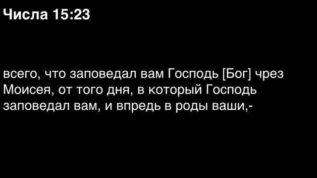Числа, глава 15