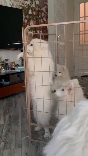 1000005366.mp4