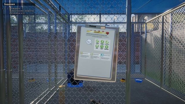 Animal Shelter | И снова До свидания – два подопечных обрели дом! | SailorGame