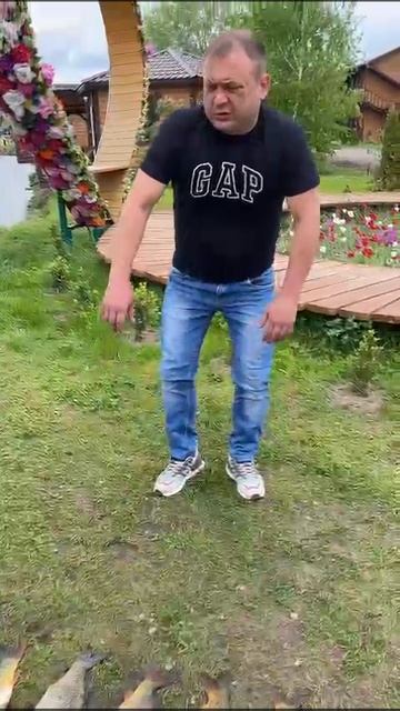 17-05-2025