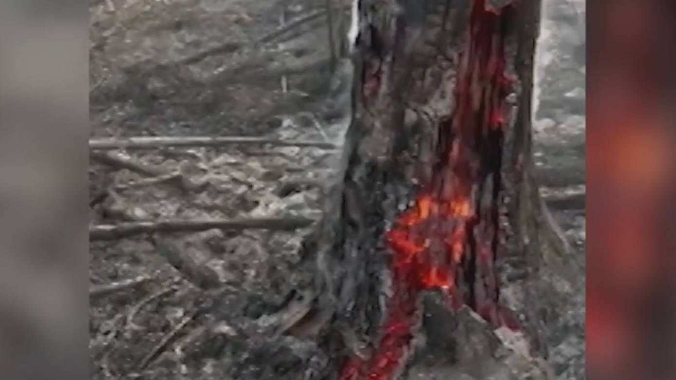В Забайкалье природные пожары угрожают населённым пунктам / События на ТВЦ
