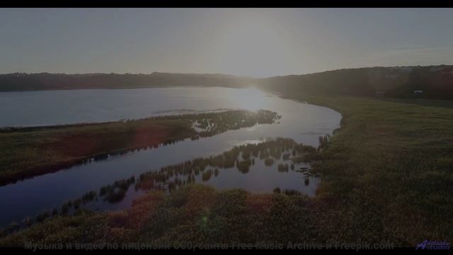 Музыка качает леса, словно волны на море - Pives And Flarinet -- Podington Bear -- Meet Podington Be