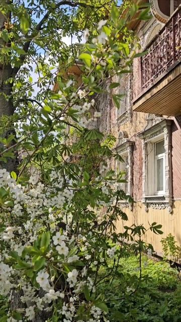 дом художника в городе Рыбинск