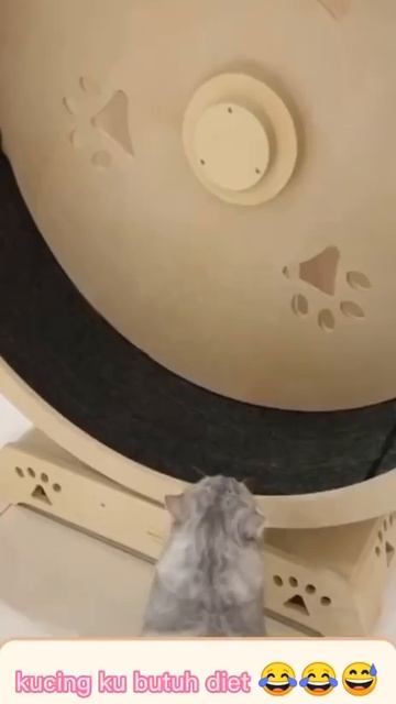 Мешок с картошкой #26