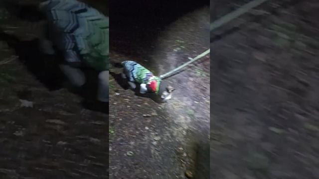 Котя, дождь, одежда... Но там ведь лягууушкиии!!!)))