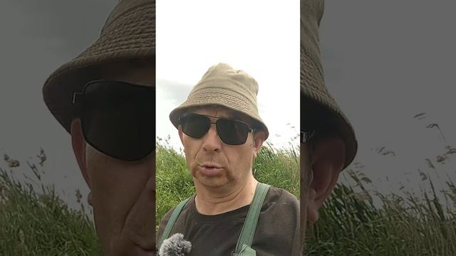 БЕЛОГОР НЕ ❌⛔ПОДВЕЛ
