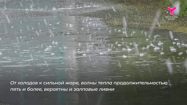 Каким будет лето - 2025 ?