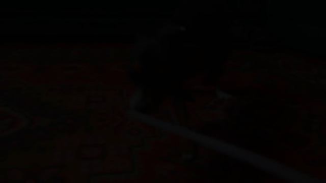 GopherVid7 ИДЕЙ С ТЕРМОКЛЕЕМ ДЛЯ УПРОЩЕНИЯ ЖИЗНИ